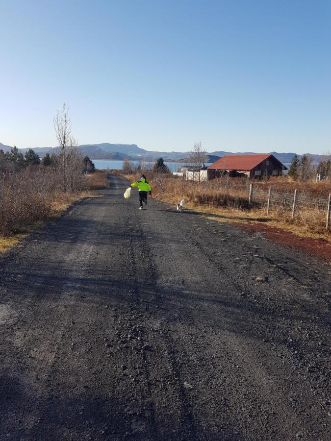 Thingvellir Lake Cottage Veithilundur المظهر الخارجي الصورة