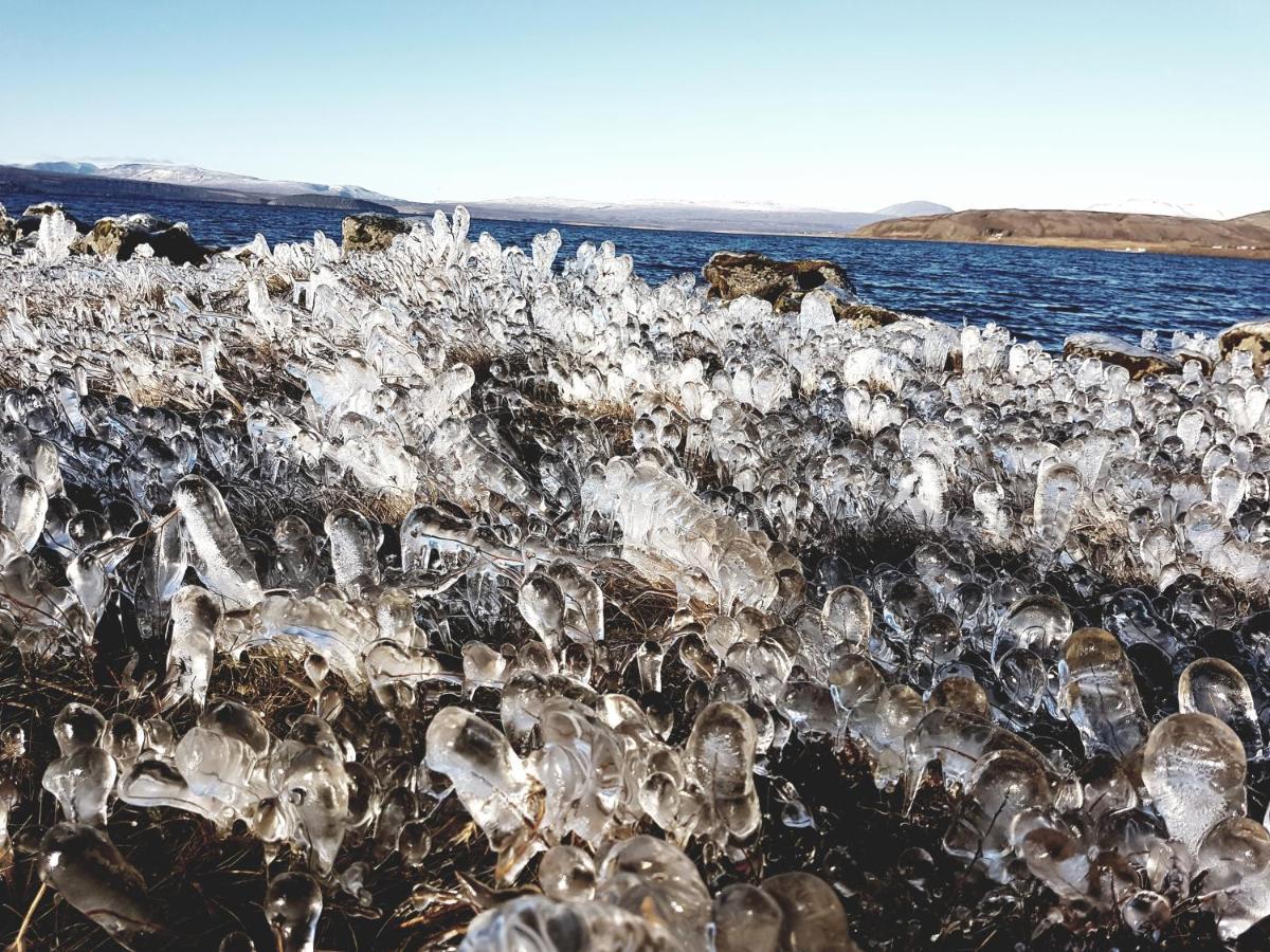 Thingvellir Lake Cottage Veithilundur المظهر الخارجي الصورة