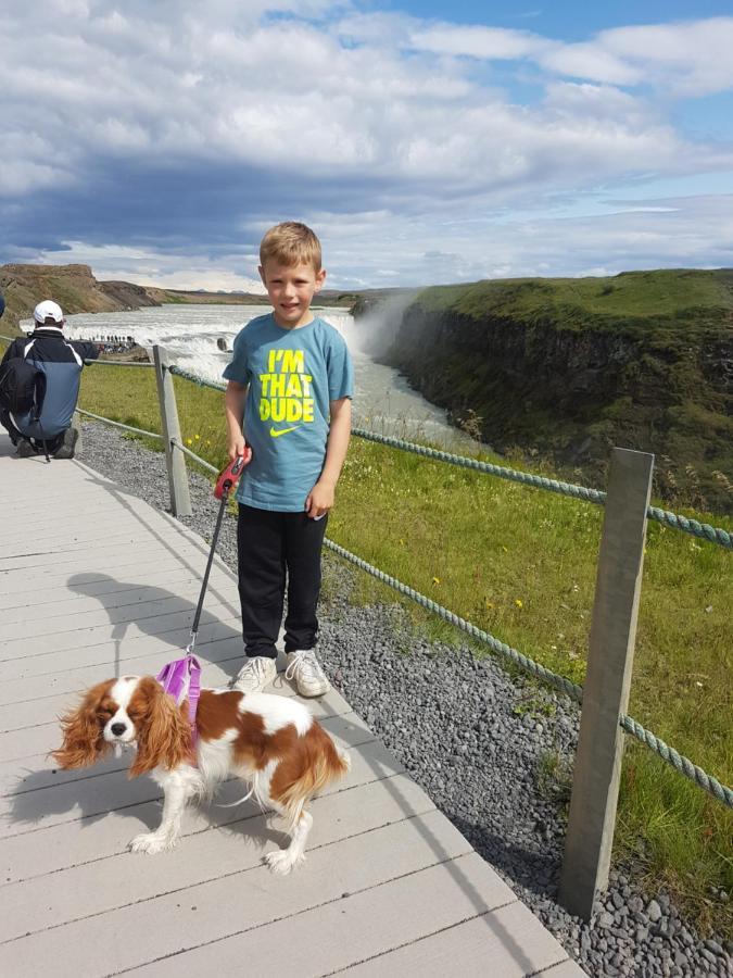 Thingvellir Lake Cottage Veithilundur المظهر الخارجي الصورة