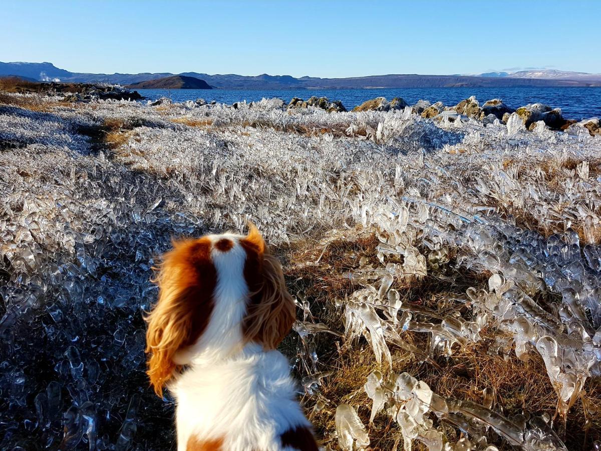 Thingvellir Lake Cottage Veithilundur المظهر الخارجي الصورة