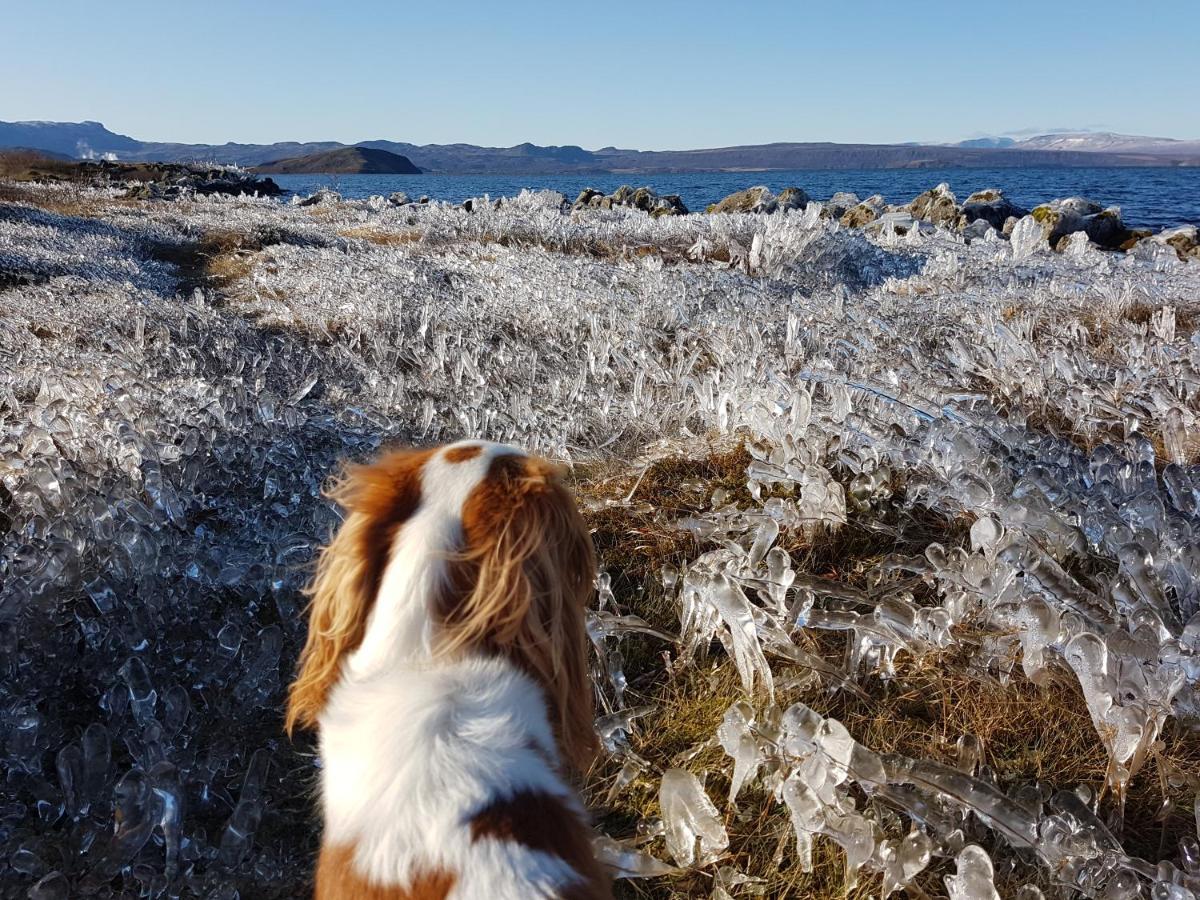 Thingvellir Lake Cottage Veithilundur المظهر الخارجي الصورة
