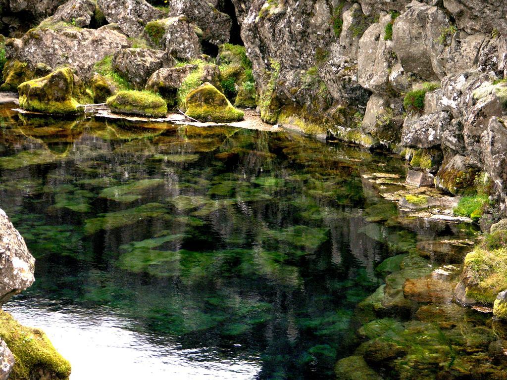 Thingvellir Lake Cottage Veithilundur الغرفة الصورة